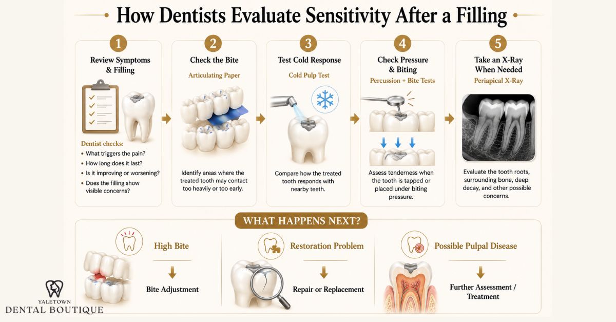 Infographic showing five steps dentists use to evaluate sensitivity after a filling, including symptom review, bite check, cold pulp testing, pressure and bite tests, and dental X-rays, with possible next steps based on the findings.