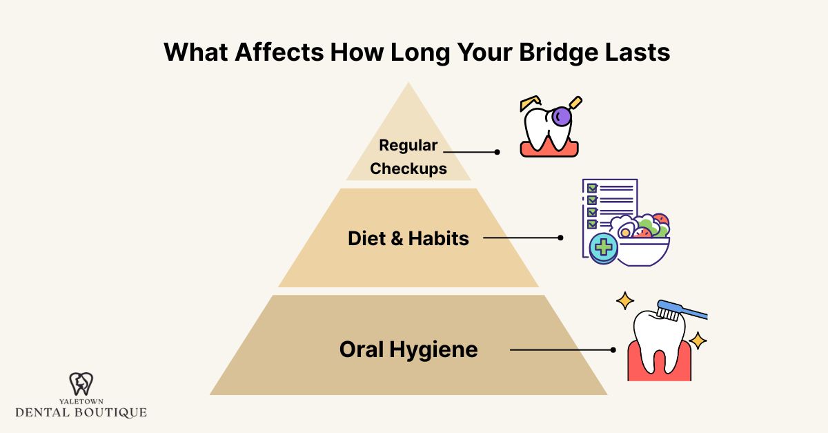 What Affects How Long Your Bridge Lasts